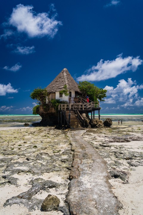 Idyllic beach scene featuring a quaint house, and the vast expanse of the ocean in the background