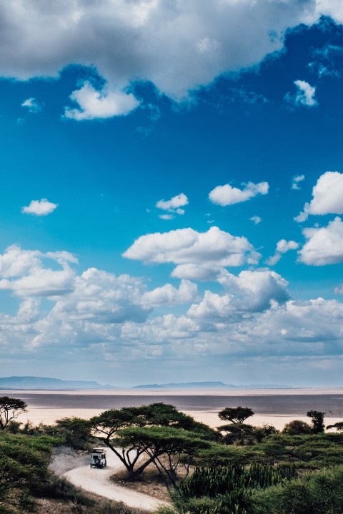 Serengeti Plains